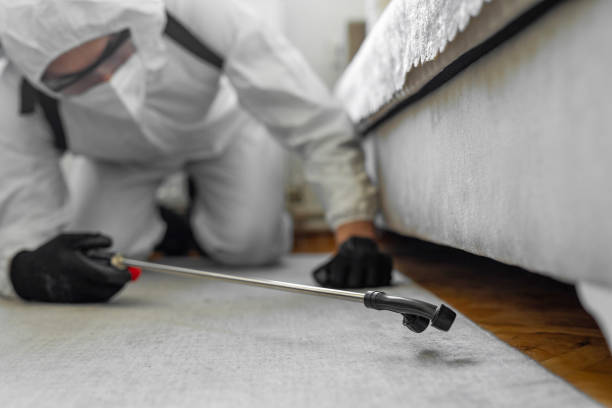 Professional Pest Control technician working in Escanaba, MI