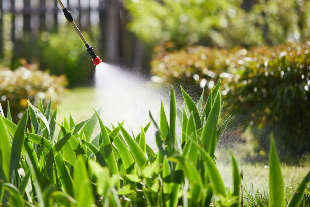 24/7 Emergency Pest Control experts in Escanaba, MI