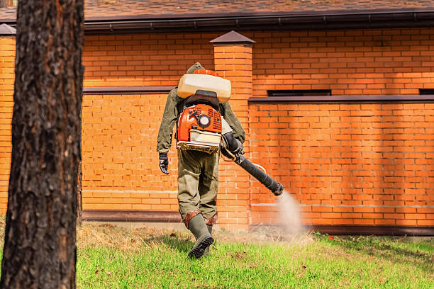 Top rated local Pest Control specialists in Escanaba, MI